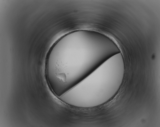 X0000102481147200808081027