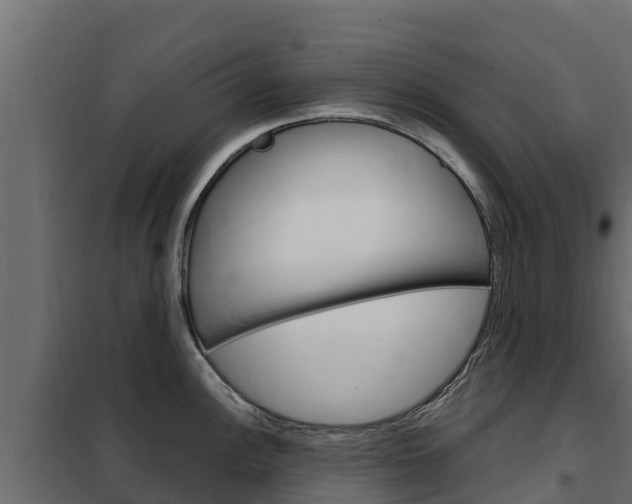 X0000102481148200808081027