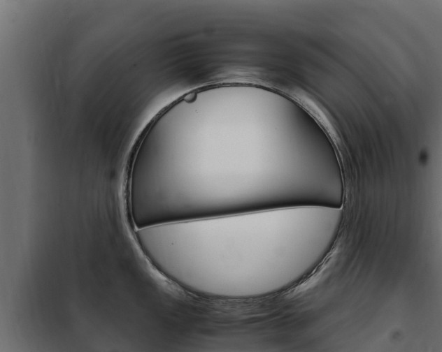 X0000102481149200808081027