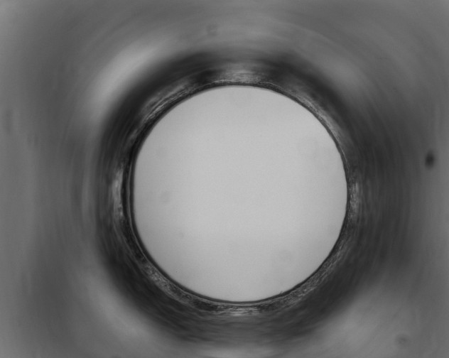 X0000102481150200808081027