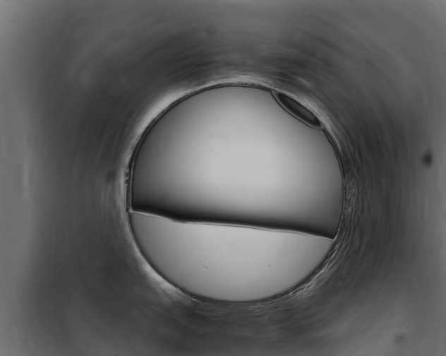X0000102481151200808081027