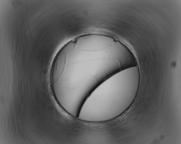 X0000102481152200808081027