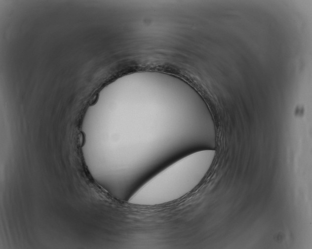 X0000102481153200808081026