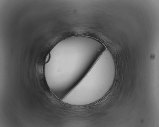 X0000102481155200808081026