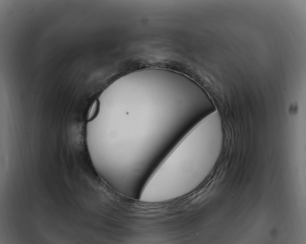X0000102481156200808081026