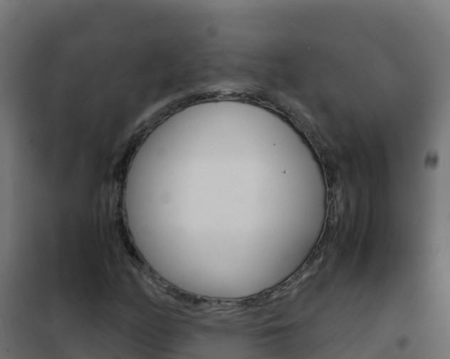 X0000102481158200808081026