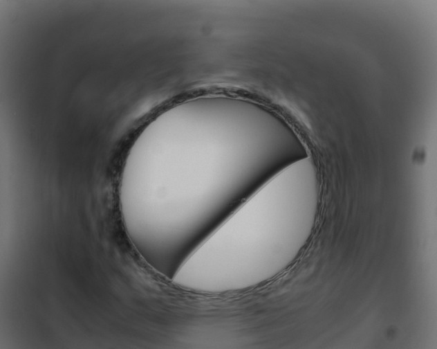 X0000102481159200808081026