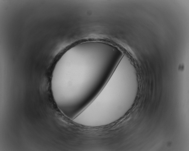 X0000102481160200808081026