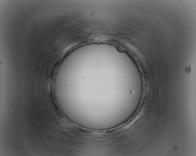 X0000102481161200808081026
