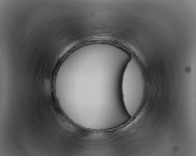 X0000102481162200808081026