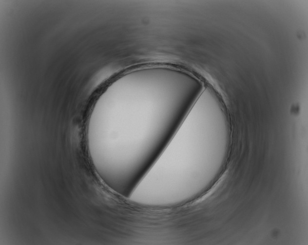 X0000102481163200808081026