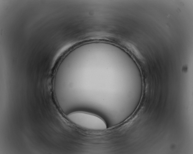 X0000102481164200808081026