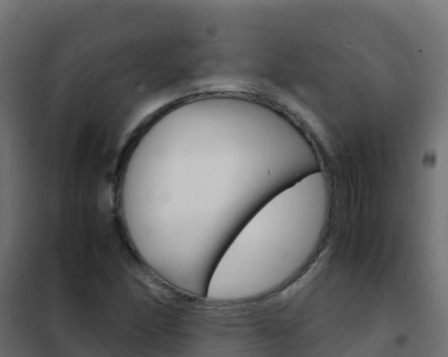 X0000102481166200808081026