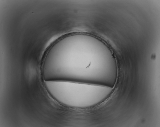 X0000102481168200808081026