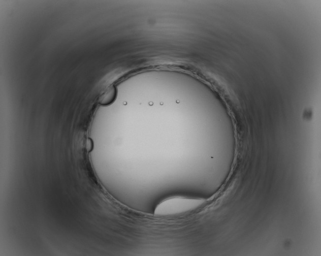 X0000102481169200808081026