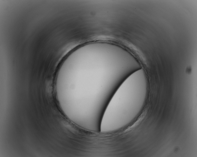 X0000102481170200808081026