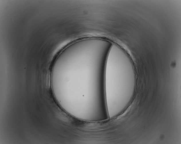 X0000102481171200808081026