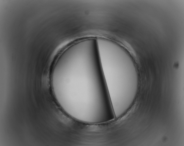 X0000102481172200808081026