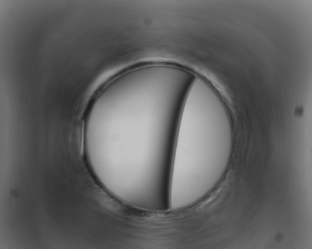 X0000102481175200808081026