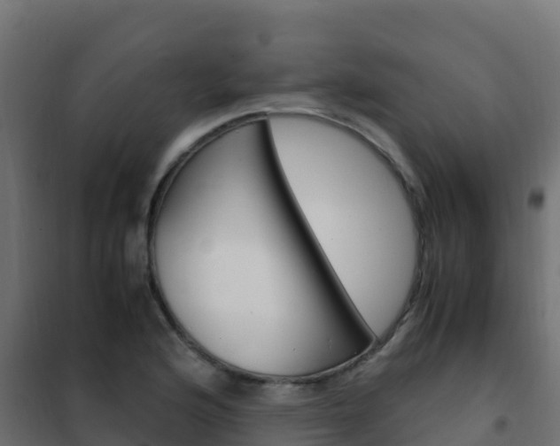 X0000102481176200808081026