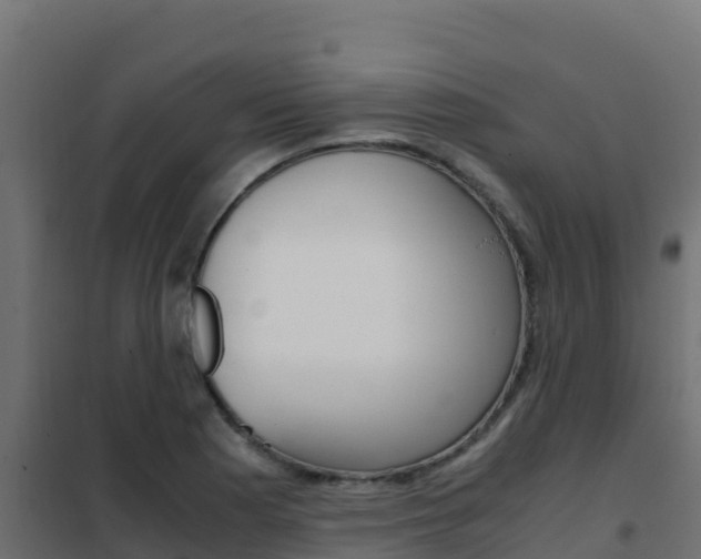 X0000102481177200808081026