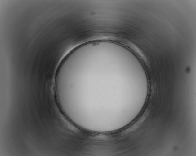 X0000102481178200808081026
