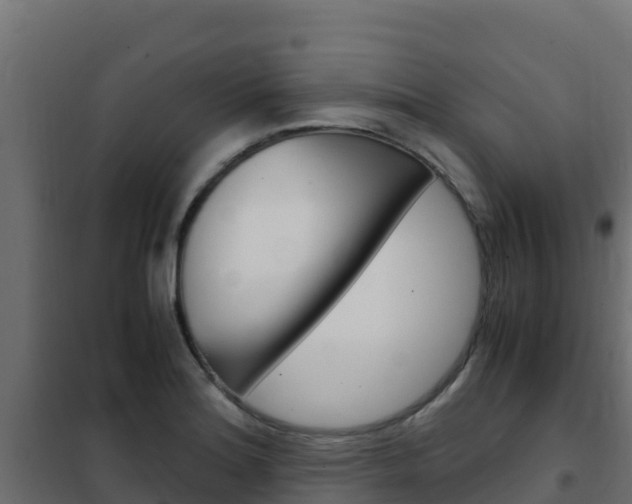 X0000102481180200808081026
