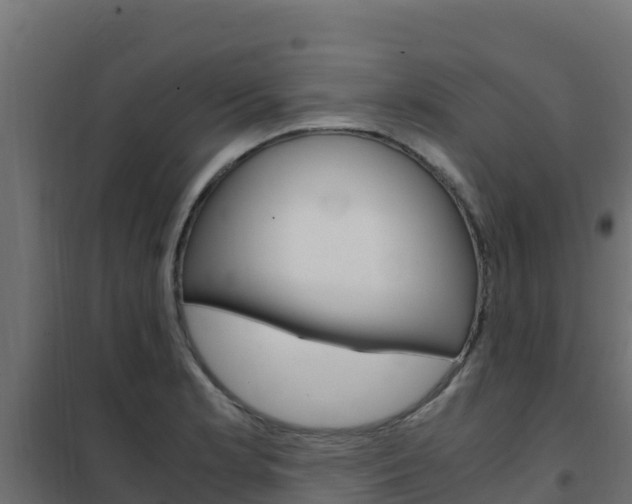 X0000102481181200808081026