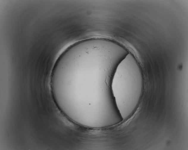 X0000102481182200808081026