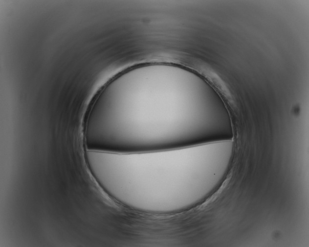X0000102481184200808081026