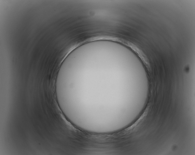 X0000102481185200808081025