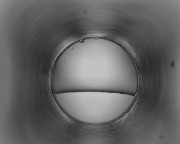 X0000102481186200808081025