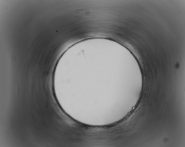X0000102481187200808081025