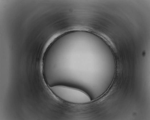 X0000102481188200808081025
