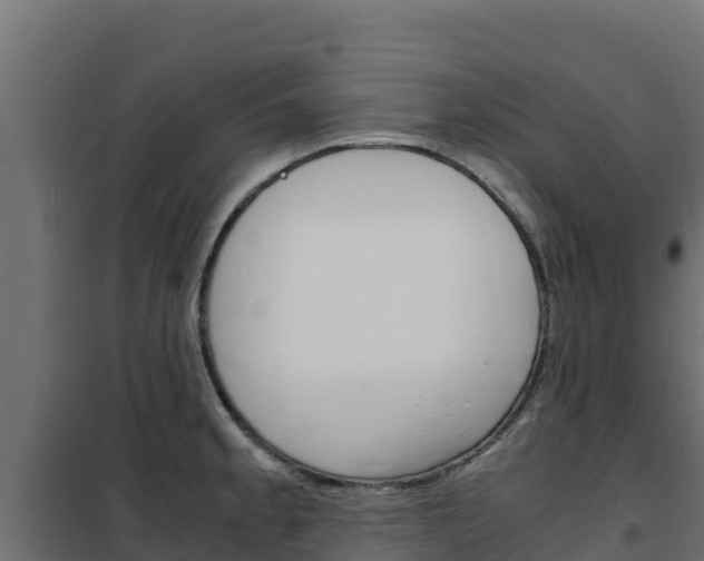 X0000102481189200808081025