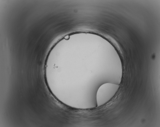X0000102481191200808081025