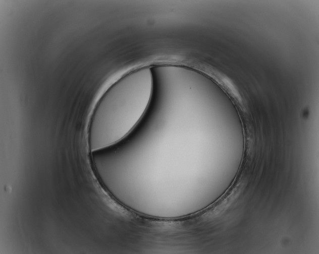 X0000102481192200808081025