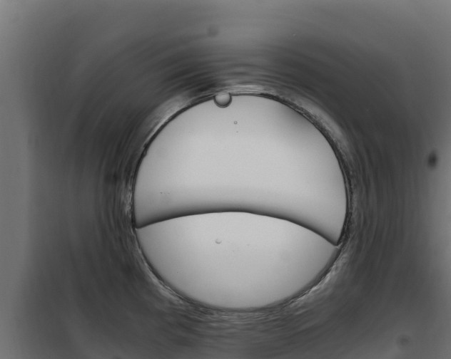 X0000102481193200808081025