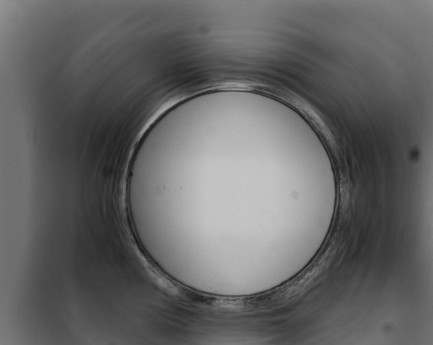 X0000102481194200808081025