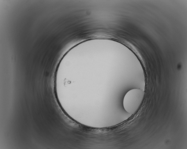 X0000102481195200808081025