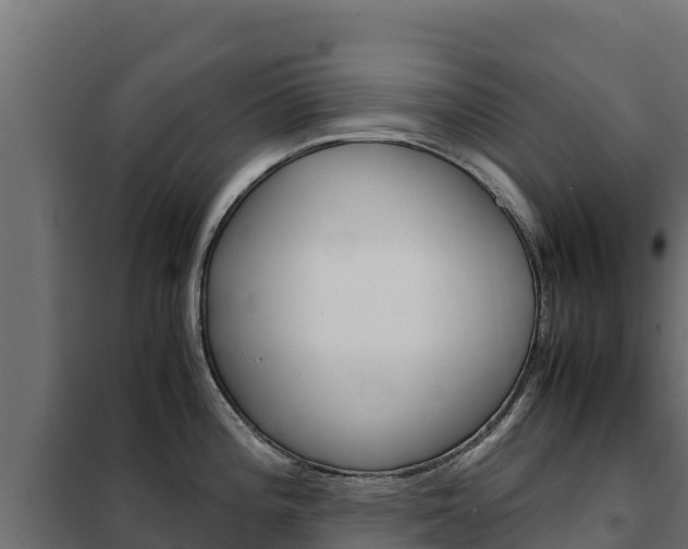 X0000102481196200808081025