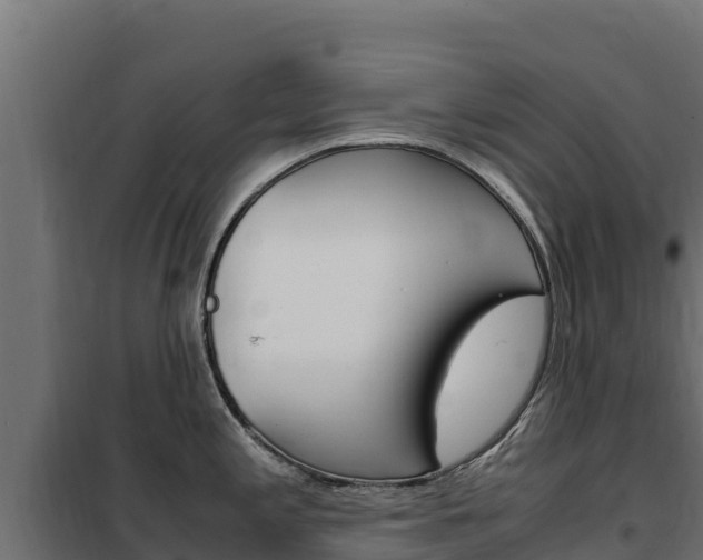 X0000102481197200808081025