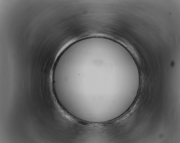 X0000102481198200808081025