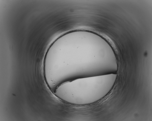 X0000102481199200808081025