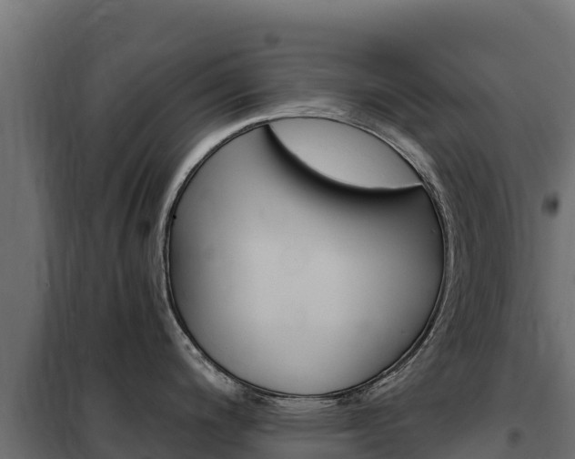 X0000102481200200808081025