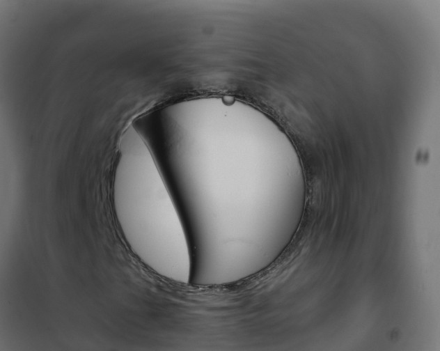X0000102481201200808081025