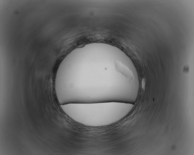 X0000102481203200808081025