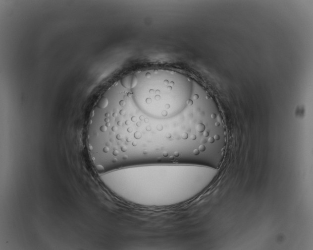 X0000102481205200808081025