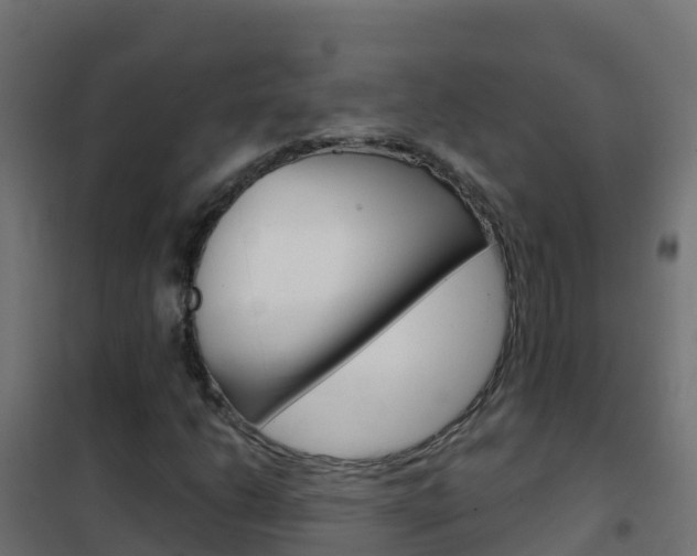 X0000102481206200808081025