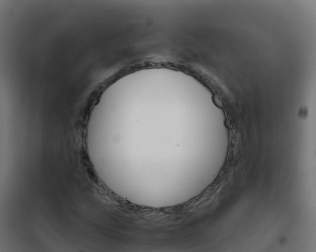 X0000102481207200808081025